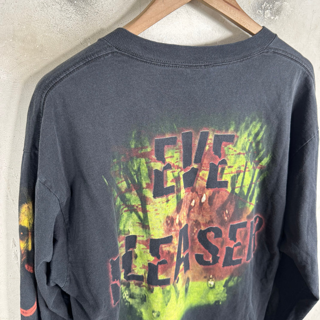 Vintage Cradle of Filth Eve Pleaser L/S T-Shirt