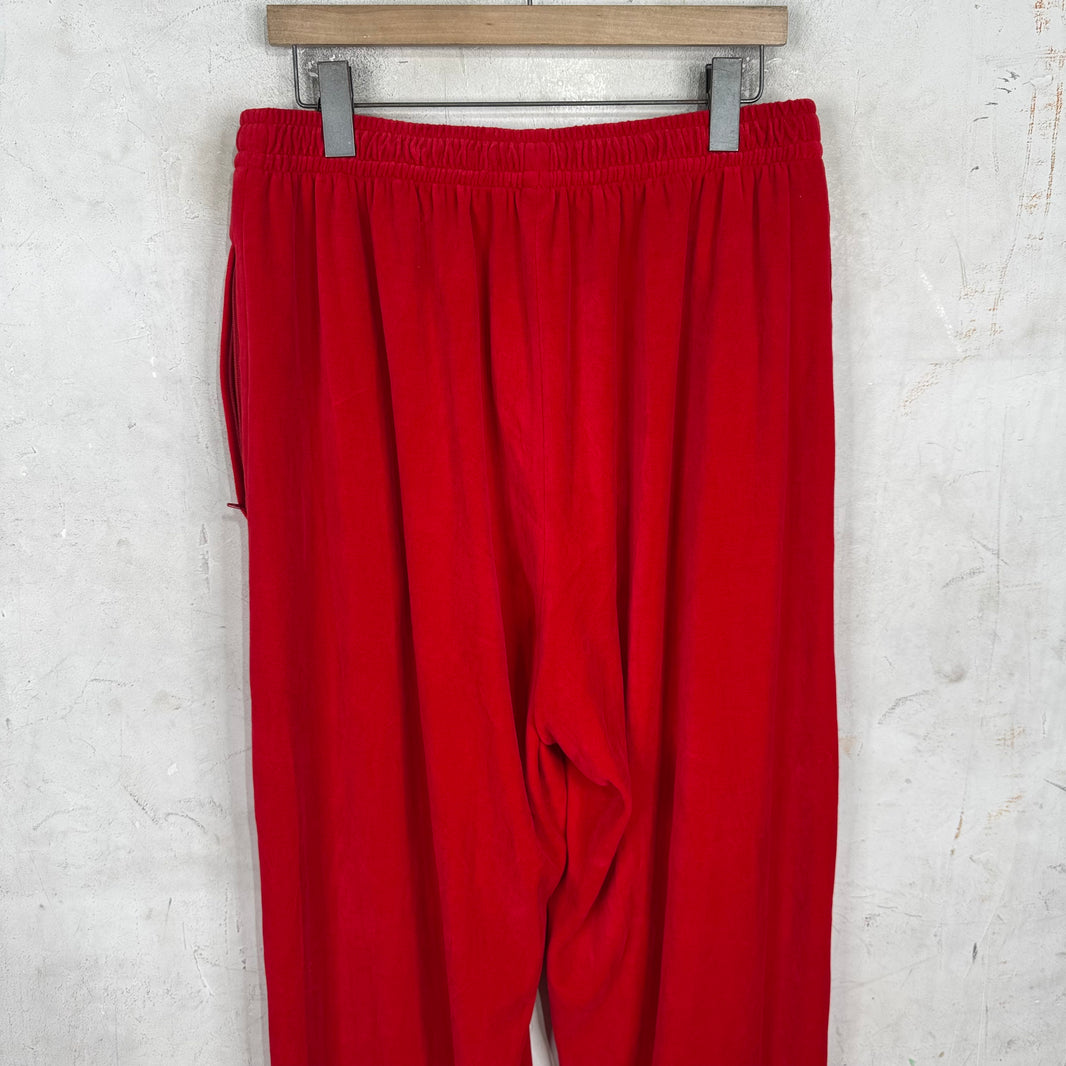 Balenciaga Hotel and Resorts Velvet Pants