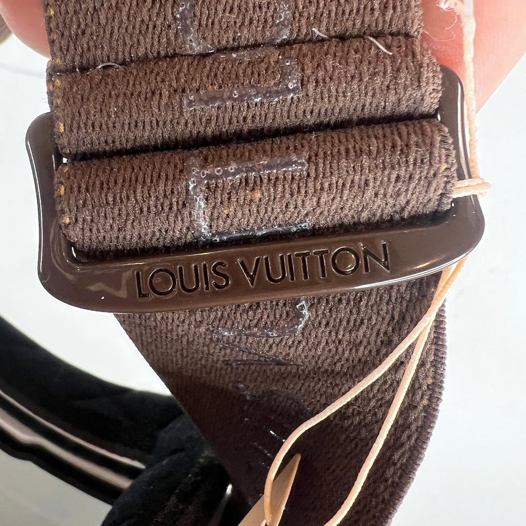 Louis Vuitton Monogram Ski Goggles
