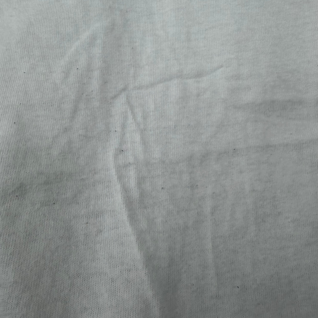 Vintage Aaliyah Memorial T-Shirt