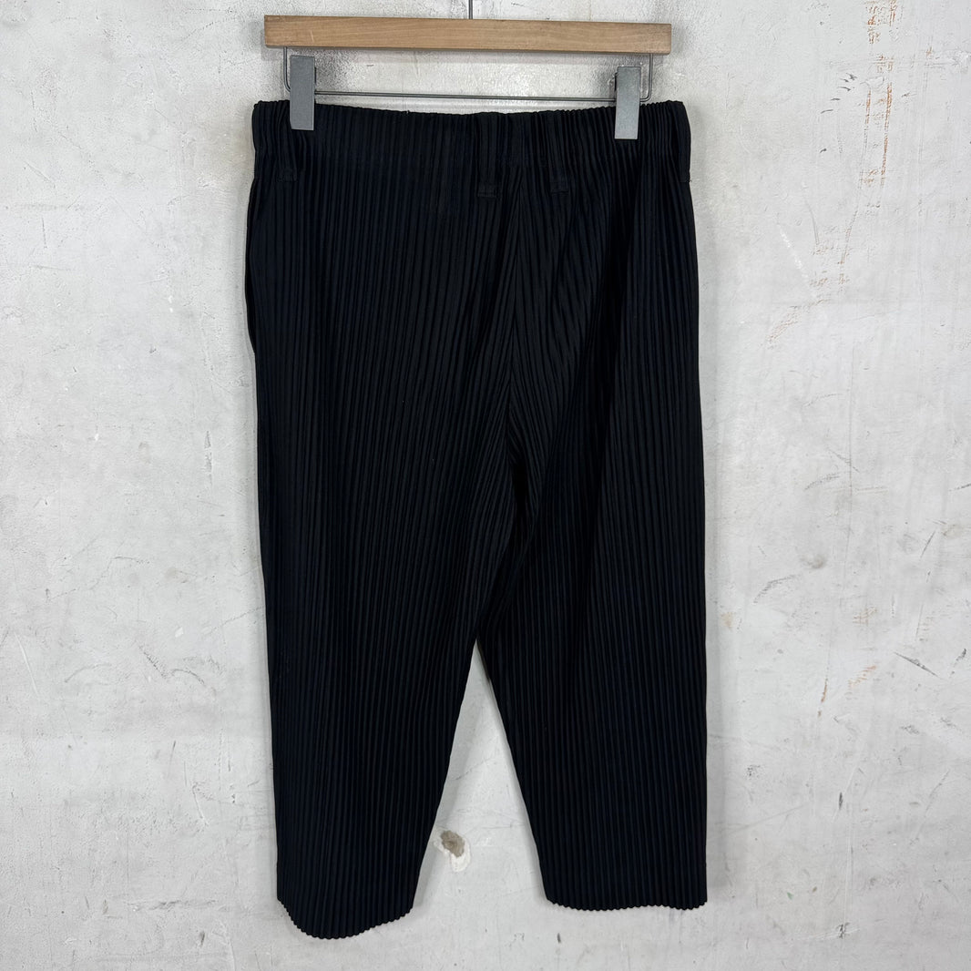 Issey Miyake Homme Plisse Black Capris