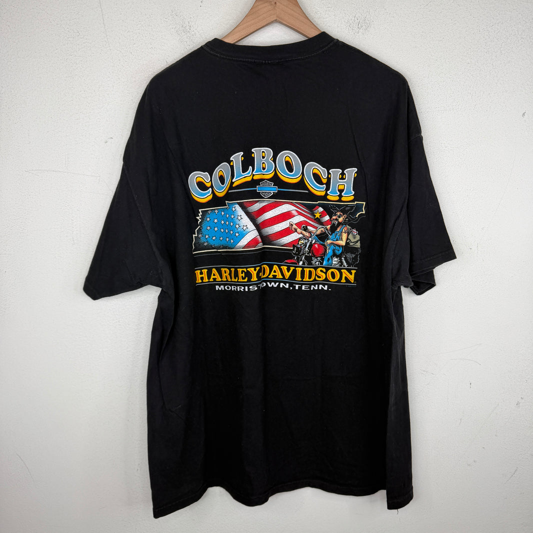 Vintage Harley Davidson Colboch Flame Logo T-Shirt