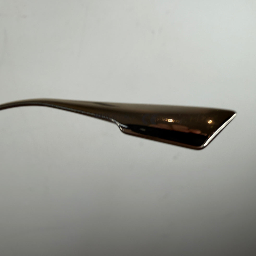 Dior Aviator Sunglasses