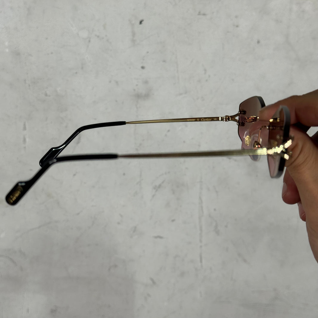 Cartier CT0620S Wire Sunglasses