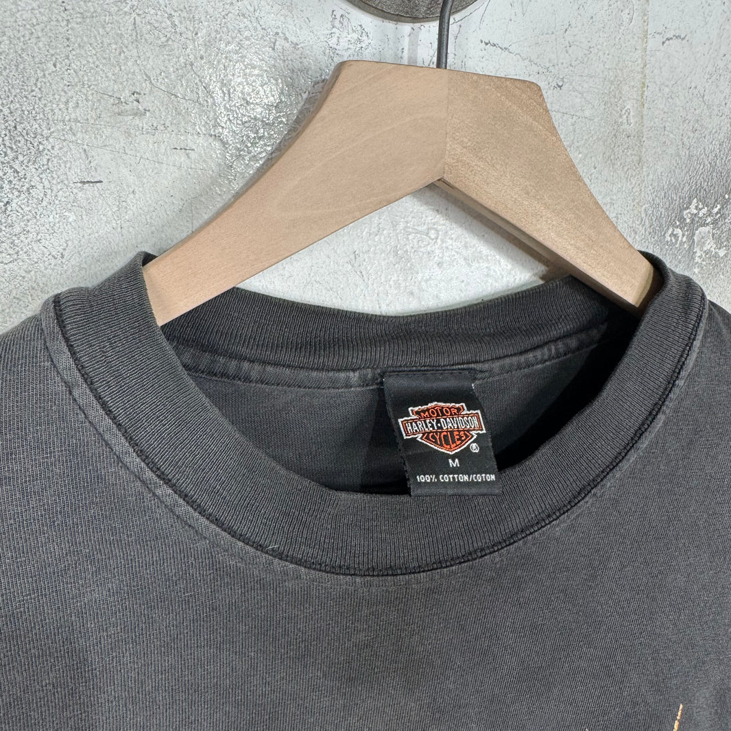 Vintage Harley Davidson 01' Smoked L/S T-Shirt