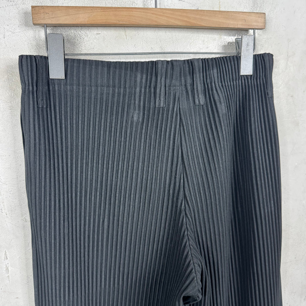 Issey Miyake Slim Straight Pleates Pants