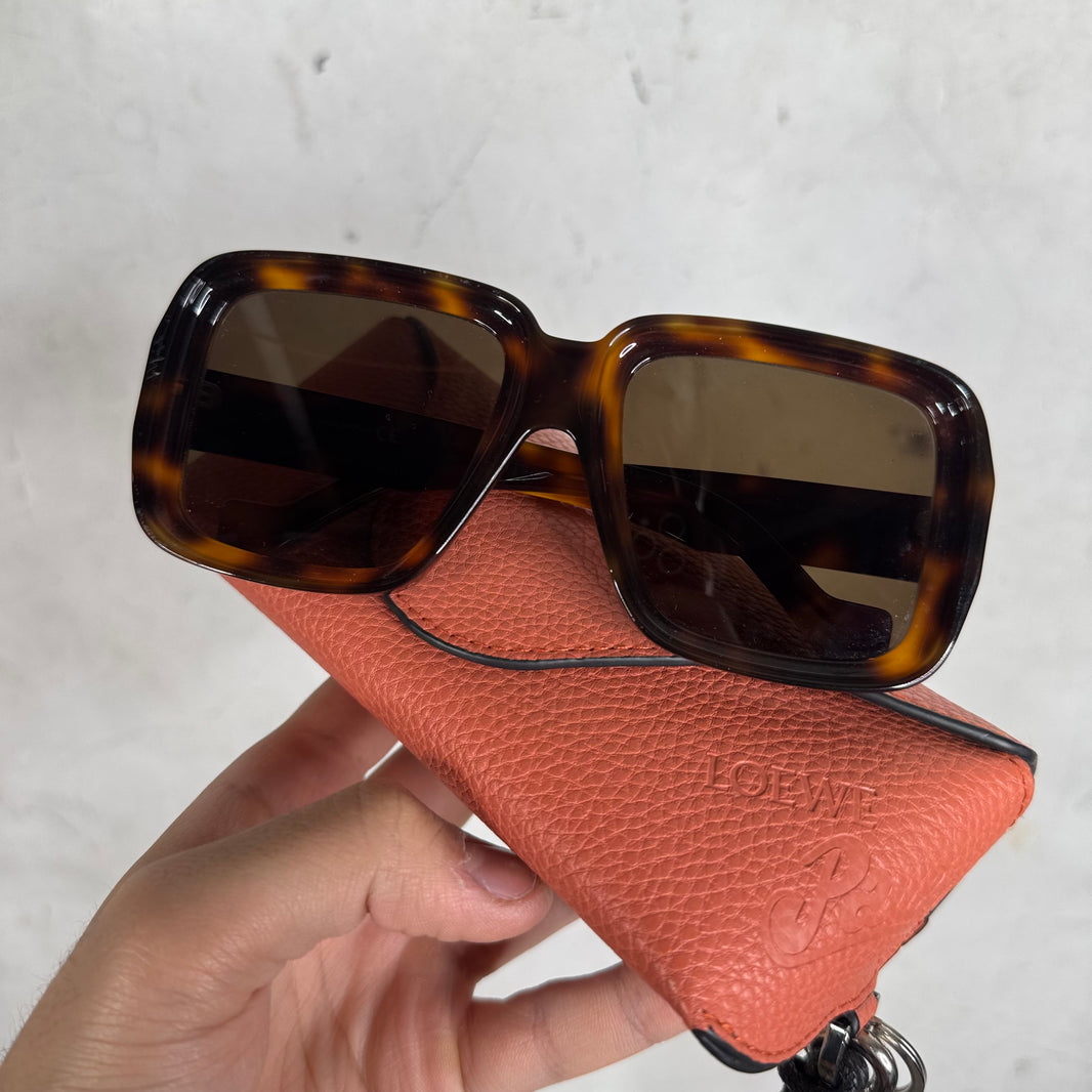 Loewe LW40071U Sunglasses