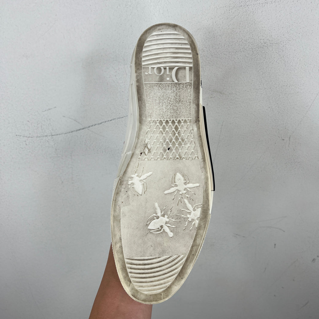 Dior B23 Low Floral Sneakers