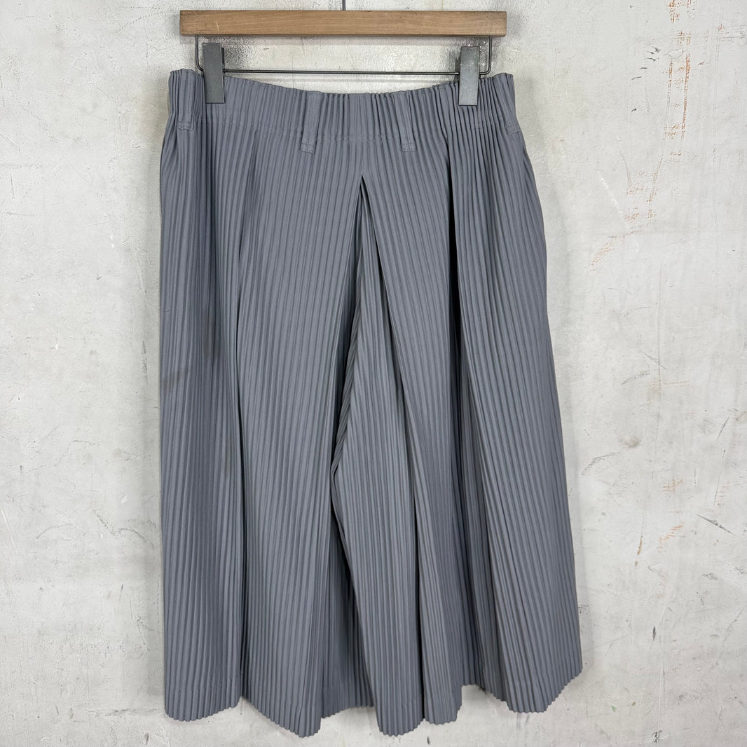 Issey Miyake Grey Skirted Pleates Shorts