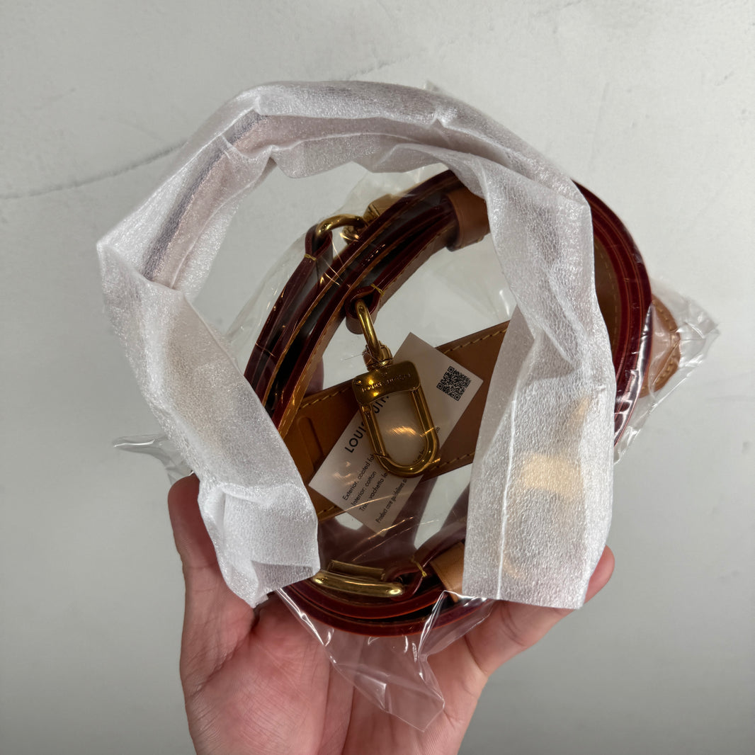 Louis Vuitton Monogram Danuber Side Bag