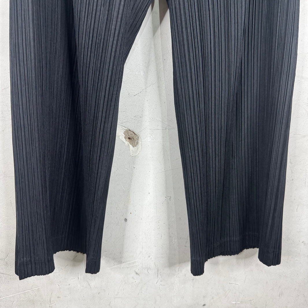 Issey Miyake Pleates Please Black Pants