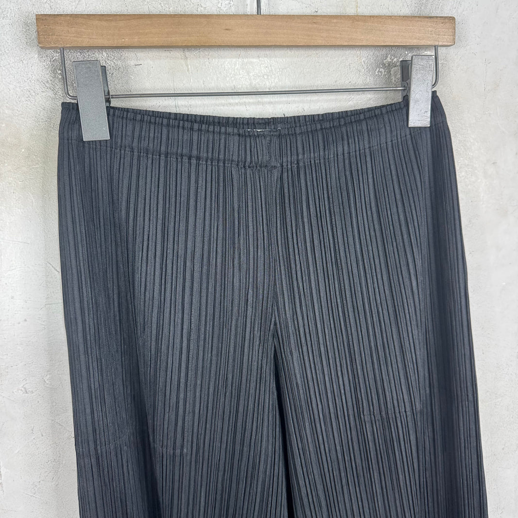 Issey Miyake Pleates Please Black Pants