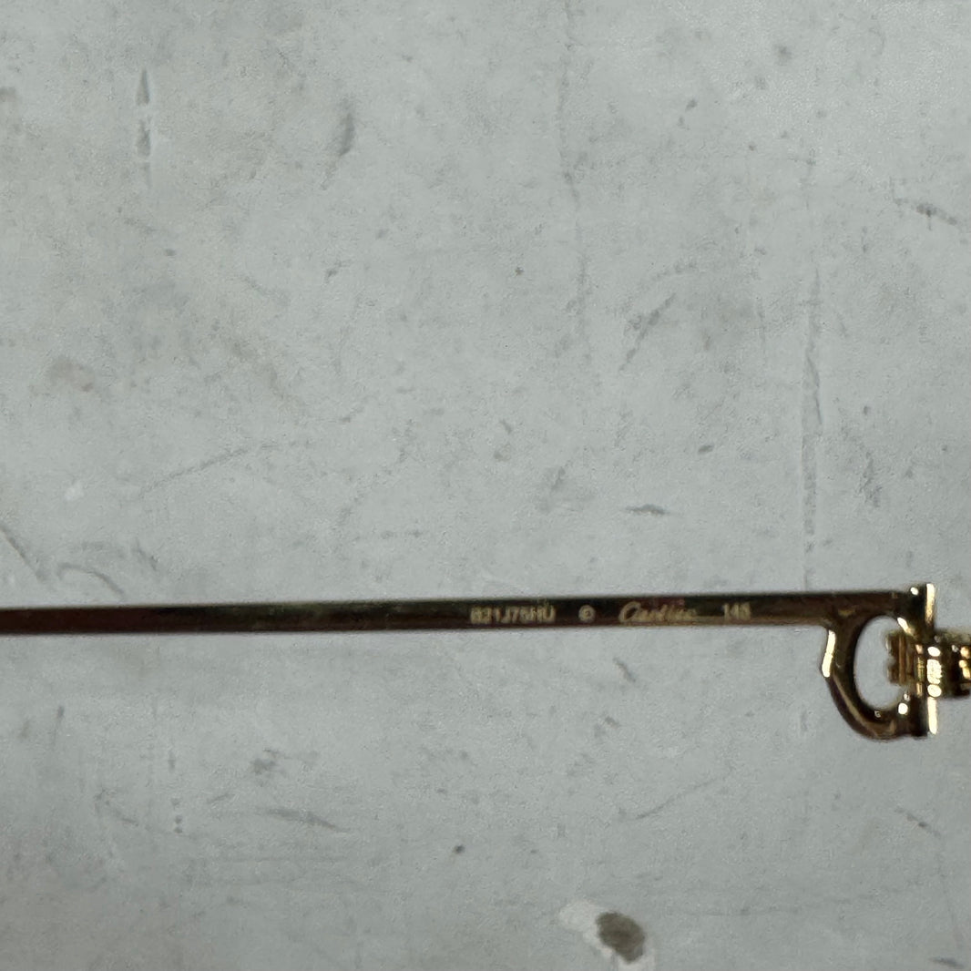 Cartier CT0501S Wire Sunglasses