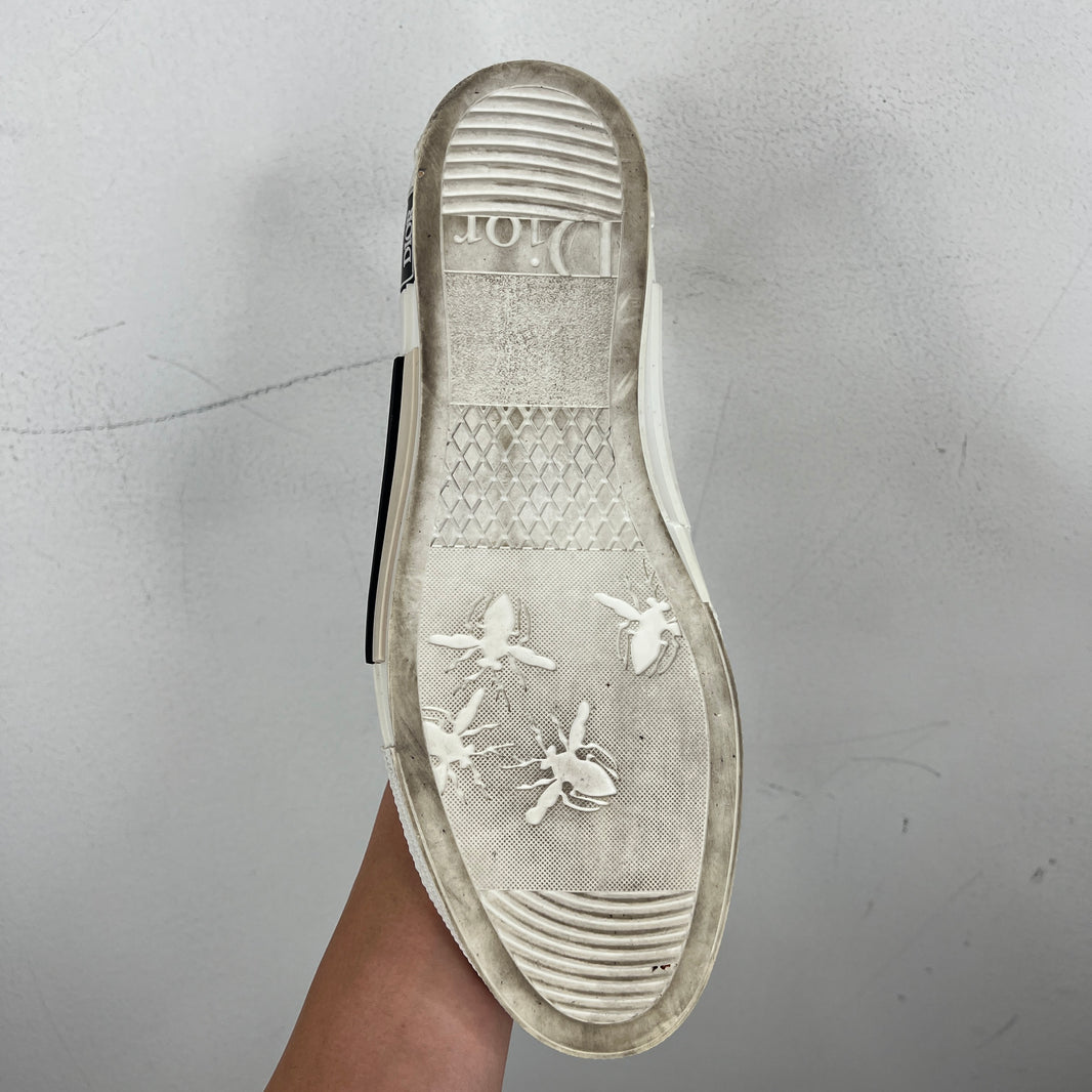 Dior B23 Low Floral Sneakers