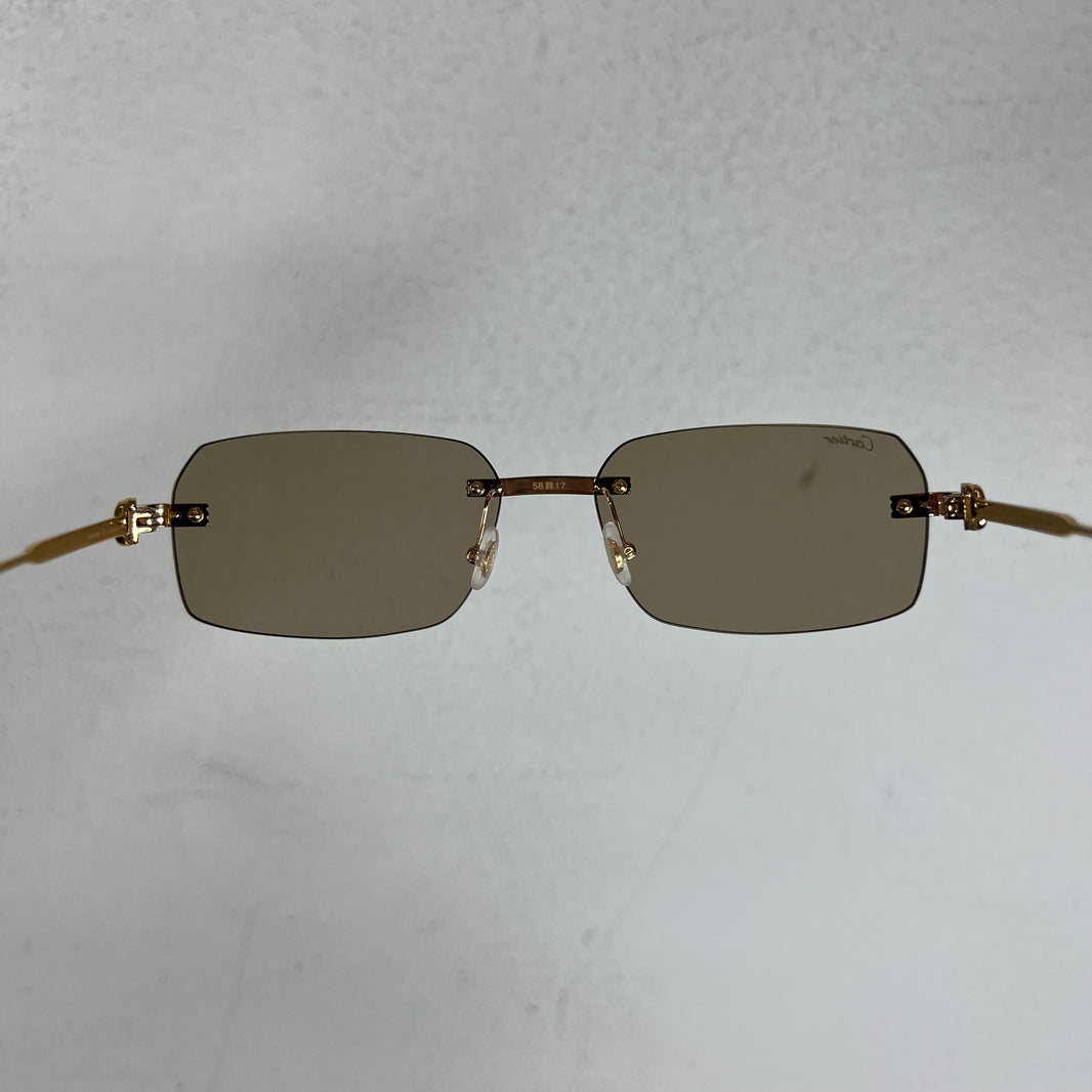 Cartier CT0271S Sunglasses