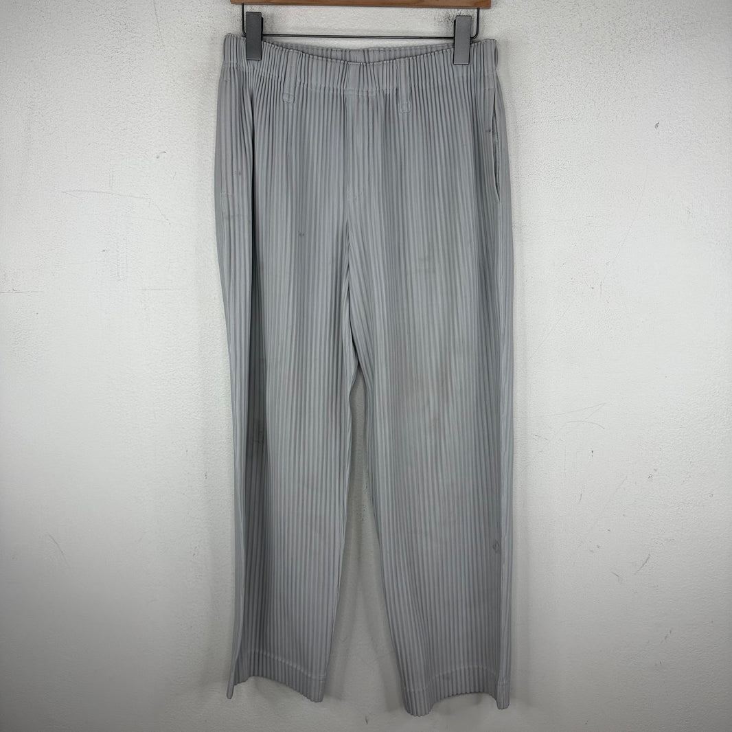 Issey Miyake Plisse Gray Pants