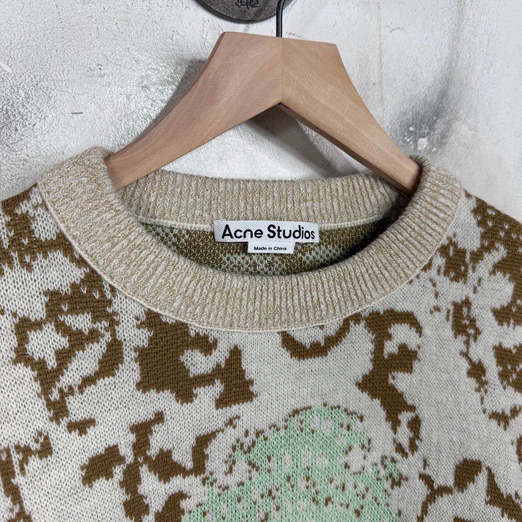 Acne Studios Beige Jacquard Sweater