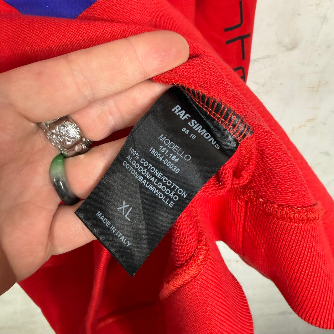 Raf Simons Joy Division Atmosphere Hoodie