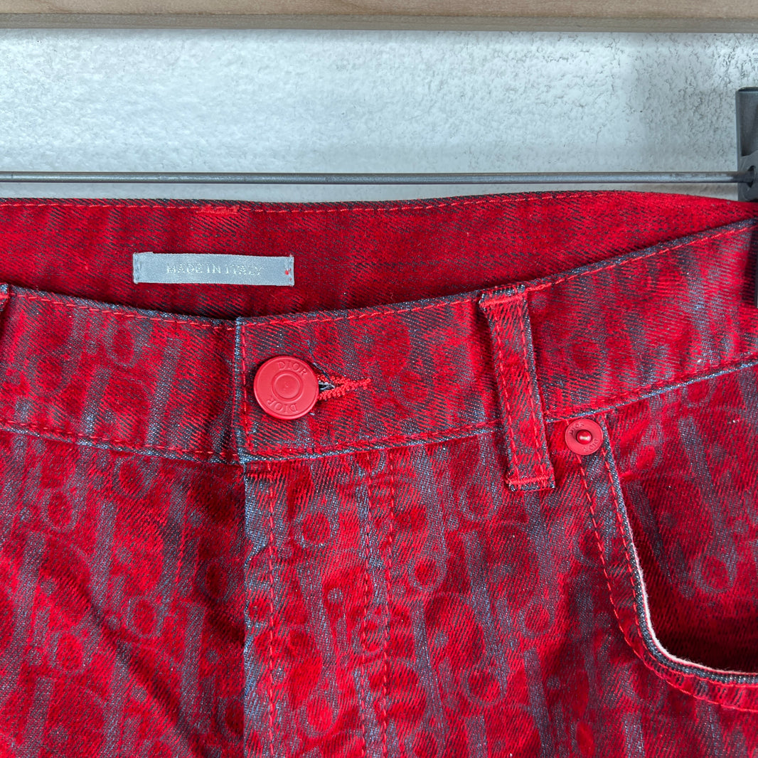 Dior ERL New Year Oblique Pants