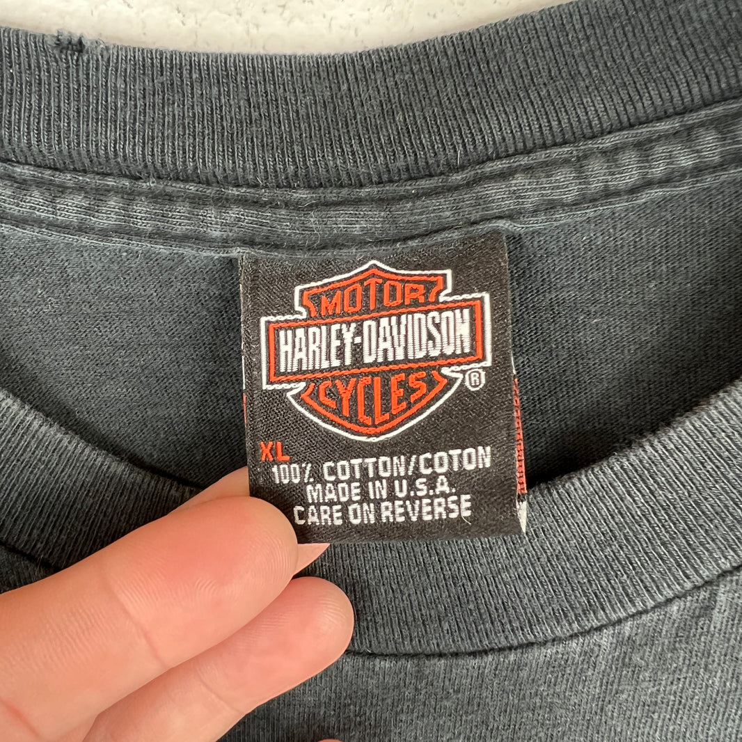 Vintage Harley Davidson Fatboy T-Shirt