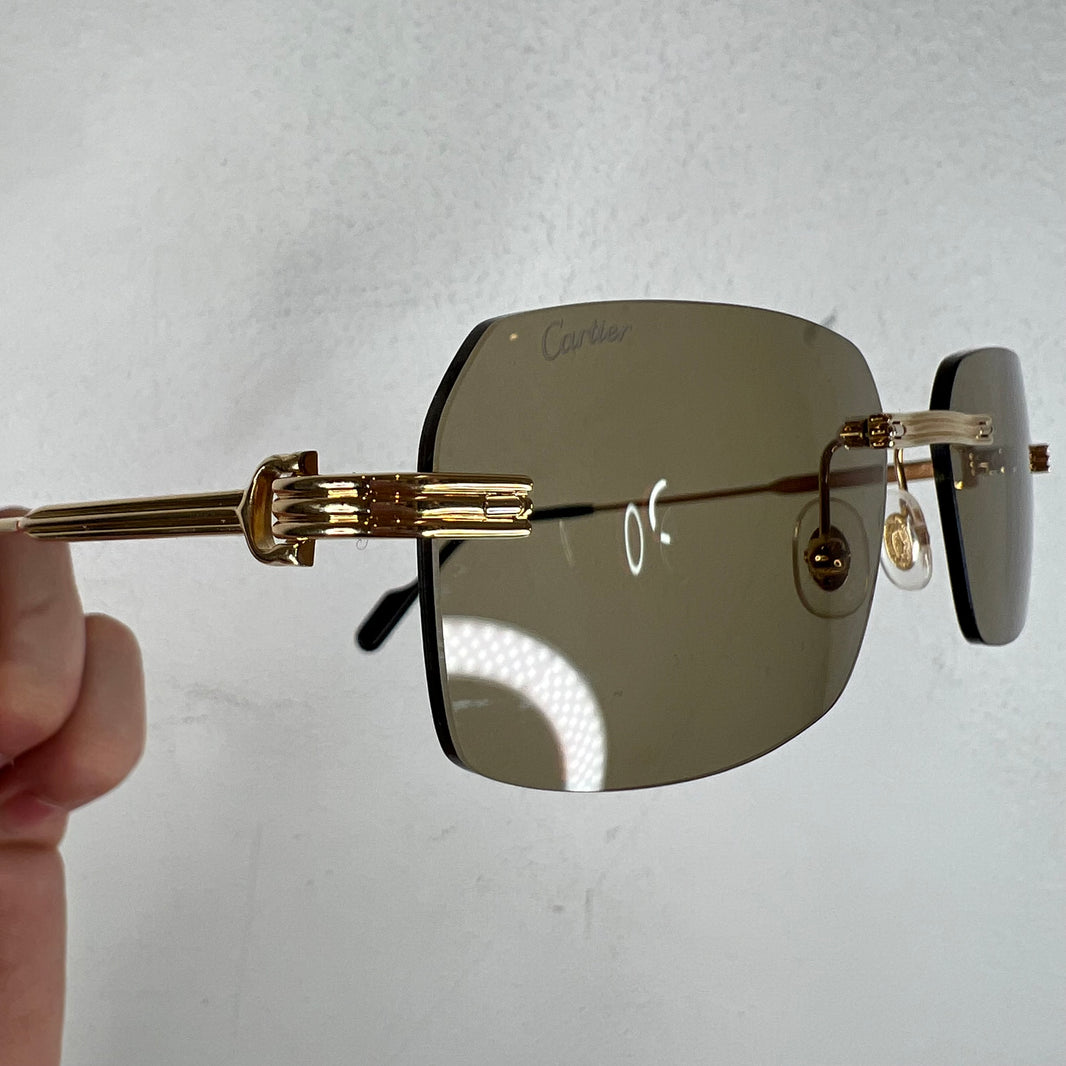 Cartier CT0271S Sunglasses