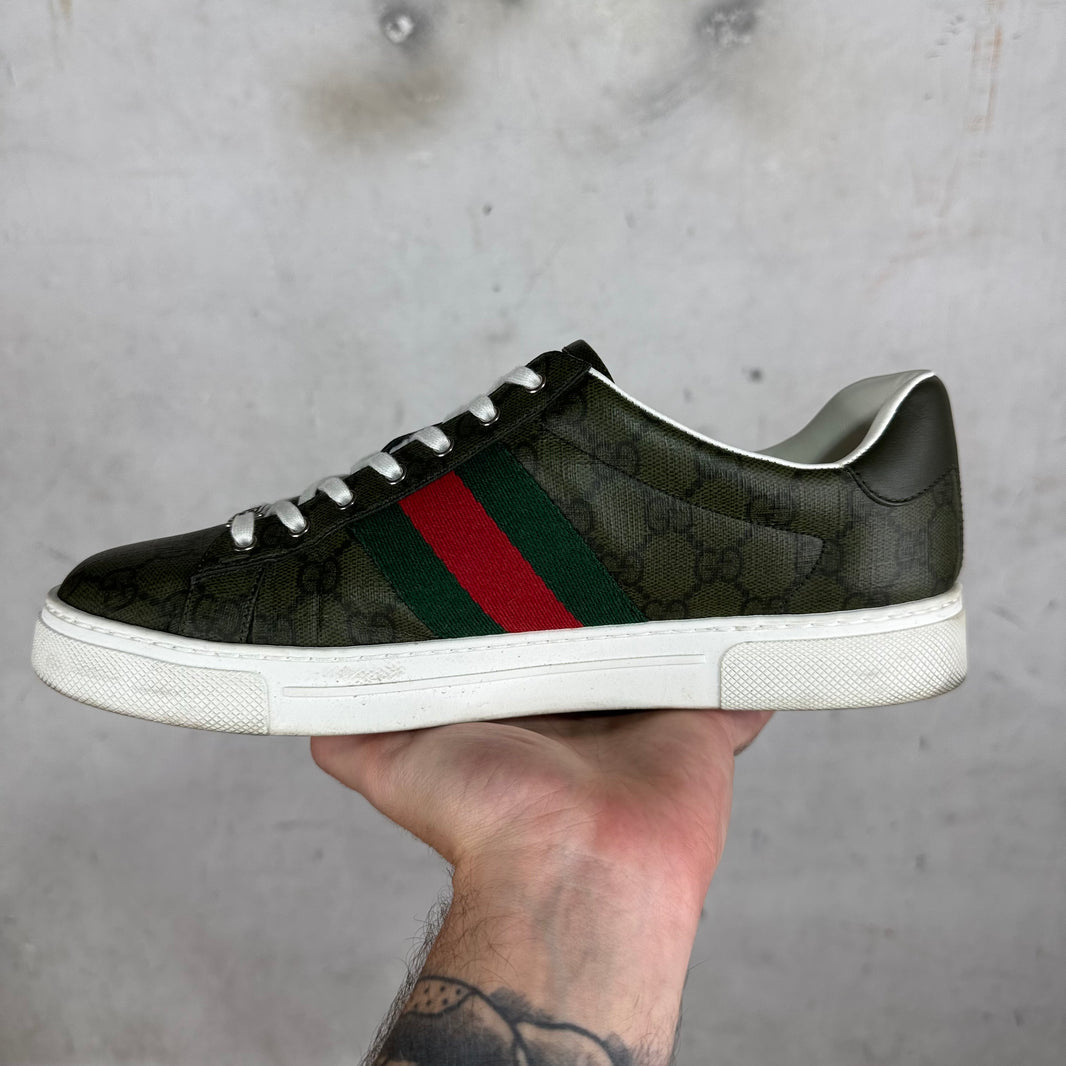 Gucci Olive Monogram Aces
