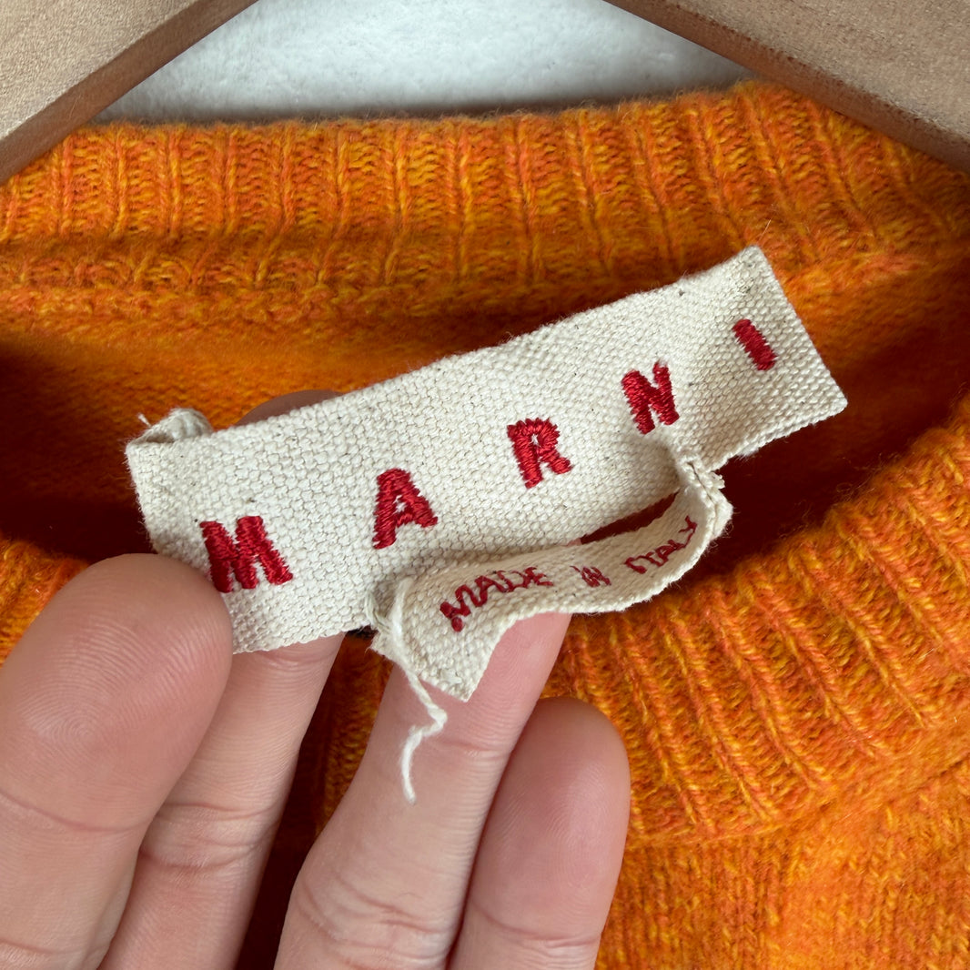 Marni Dragon Knit Sweater
