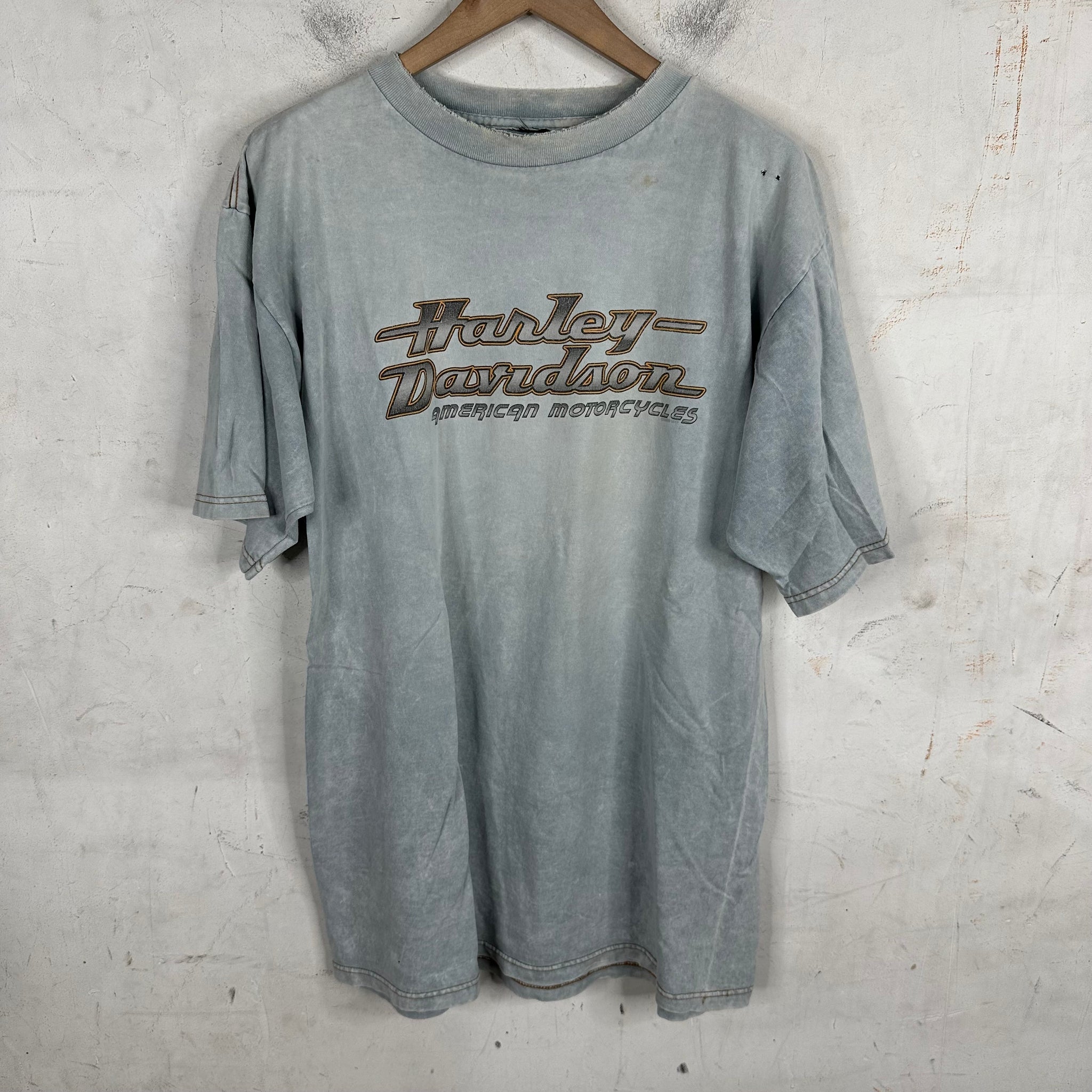 Vintage Harley Woodstock T-shirt