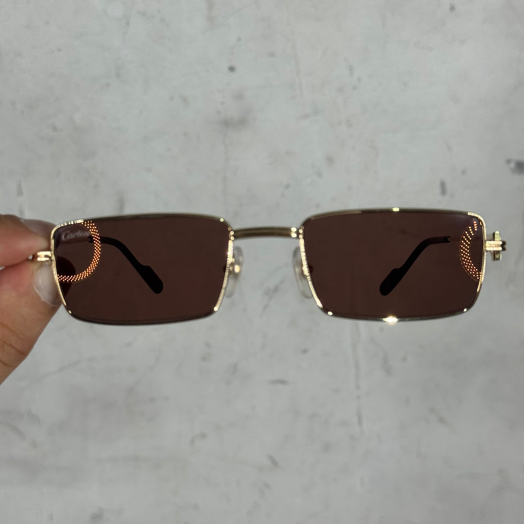 Cartier CT0501S Wire Sunglasses