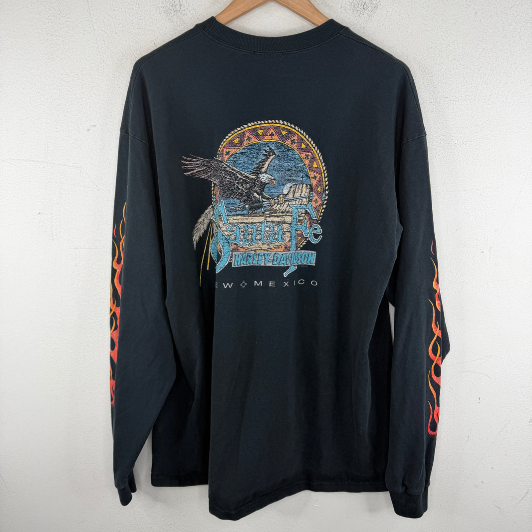 Vintage Harley Feel The Heat L/S T-Shirt
