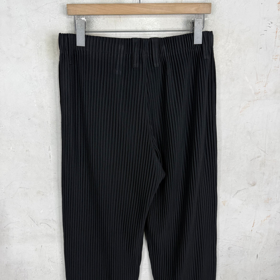 Issey Miyake Black Homme Plisse Trousers