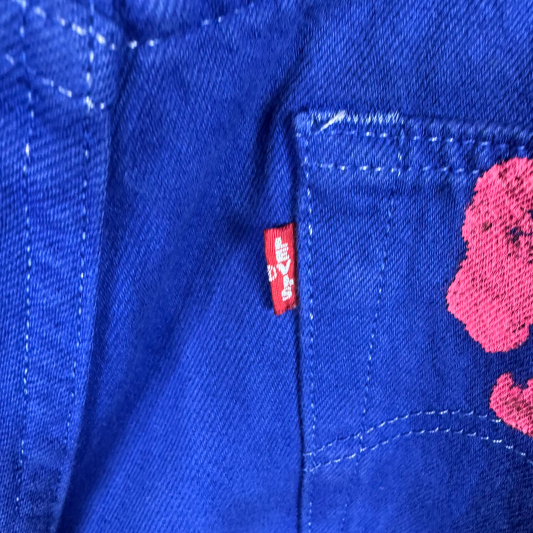 Denim Tears BStroy Levis Blue Pink Wreath Jeans