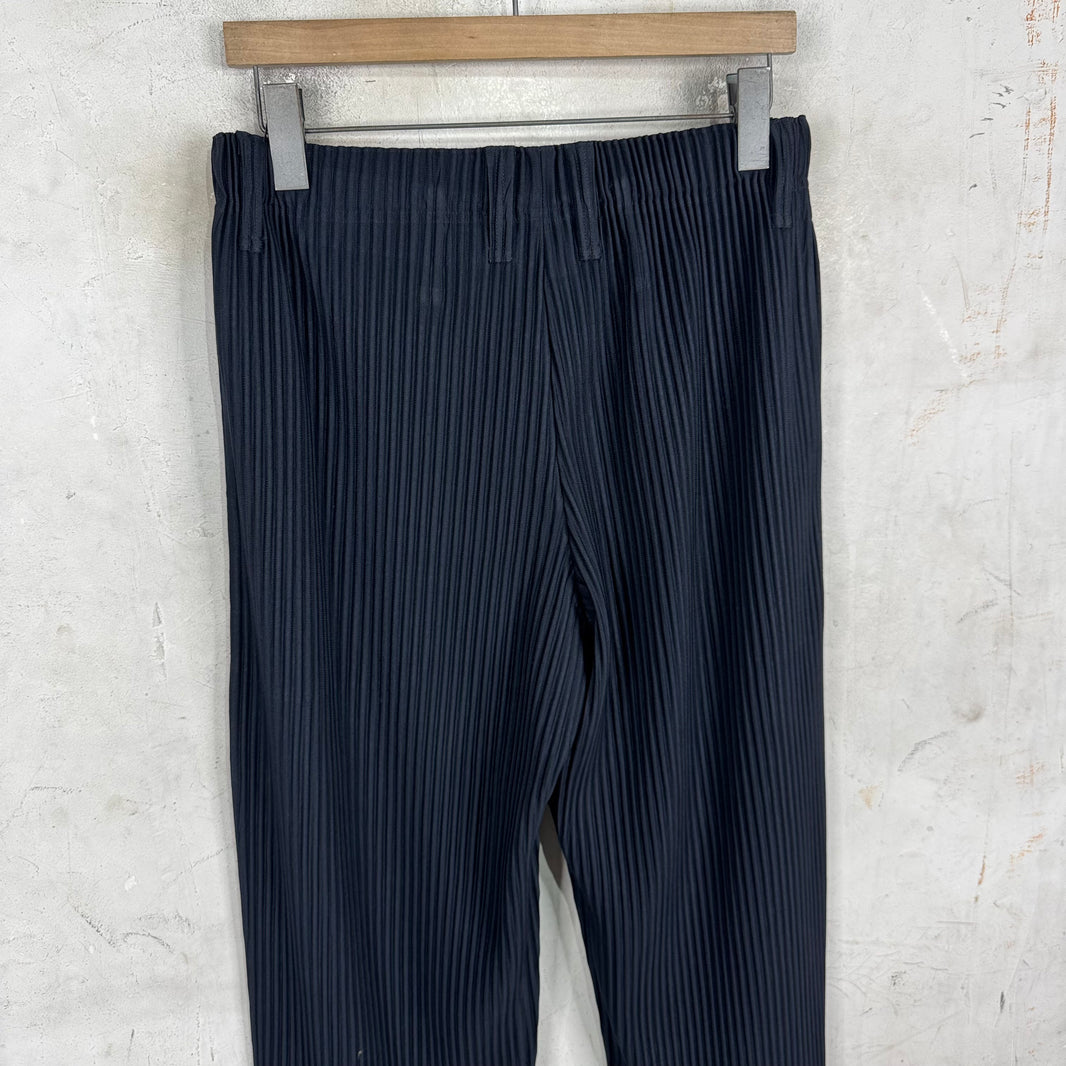 Issey Miyake Dark Navy Pleated Trousers
