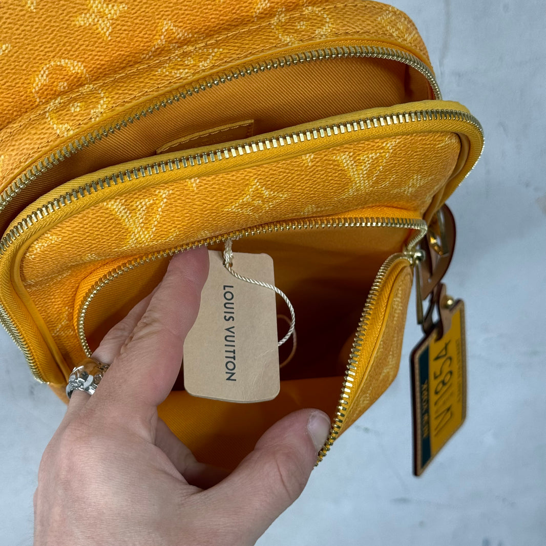 Louis Vuitton NYC Exclusive Avenue Sling Bag