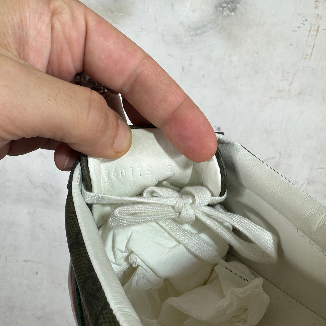 Gucci Olive Monogram Aces