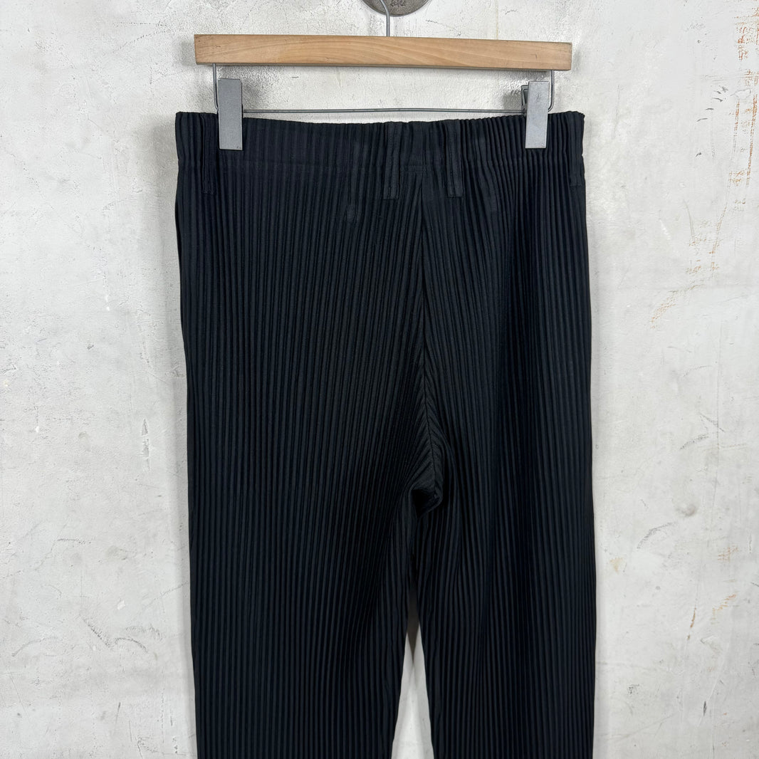 Issey Miyake Slim Straight Pleates Pants