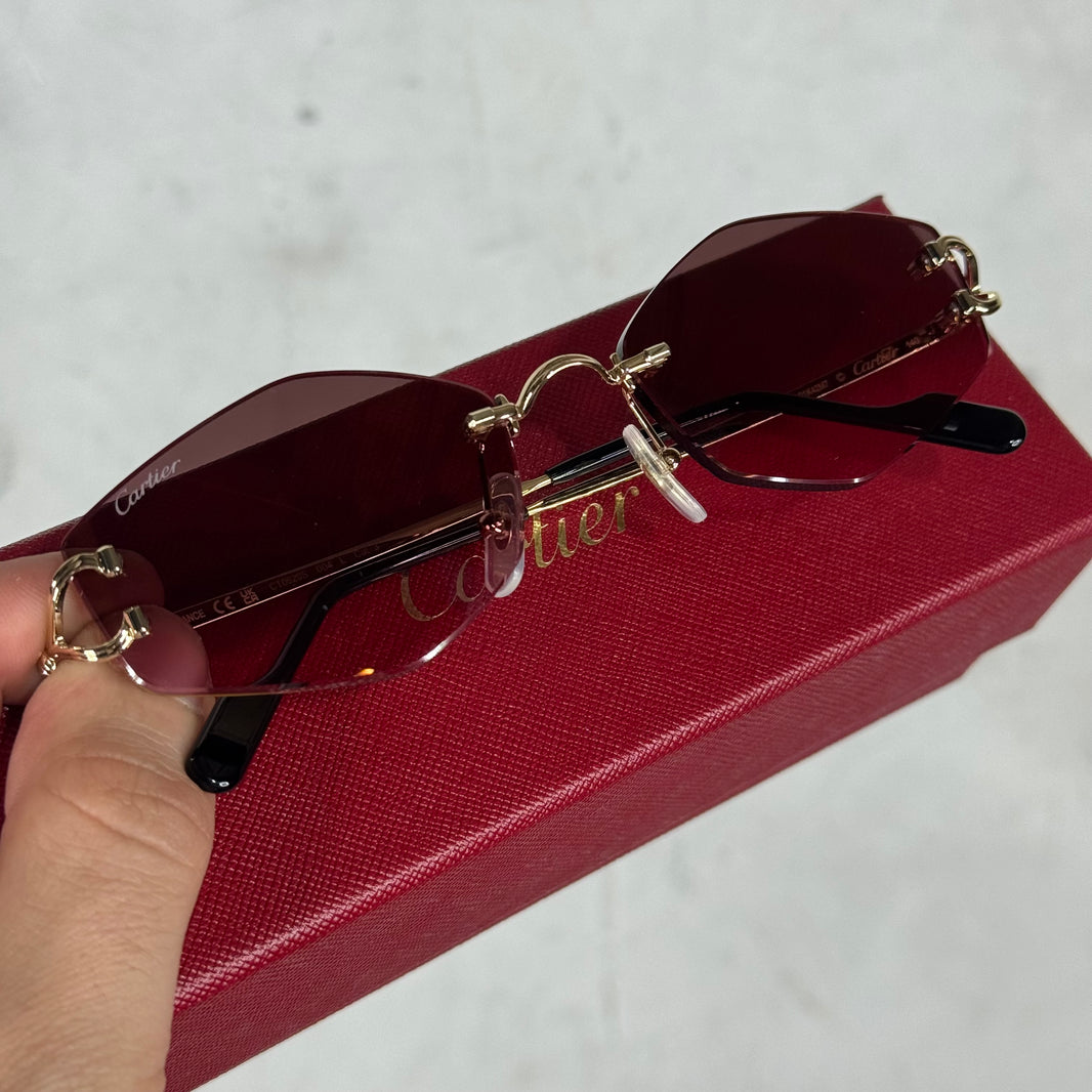 Cartier CT0620S Wire Sunglasses