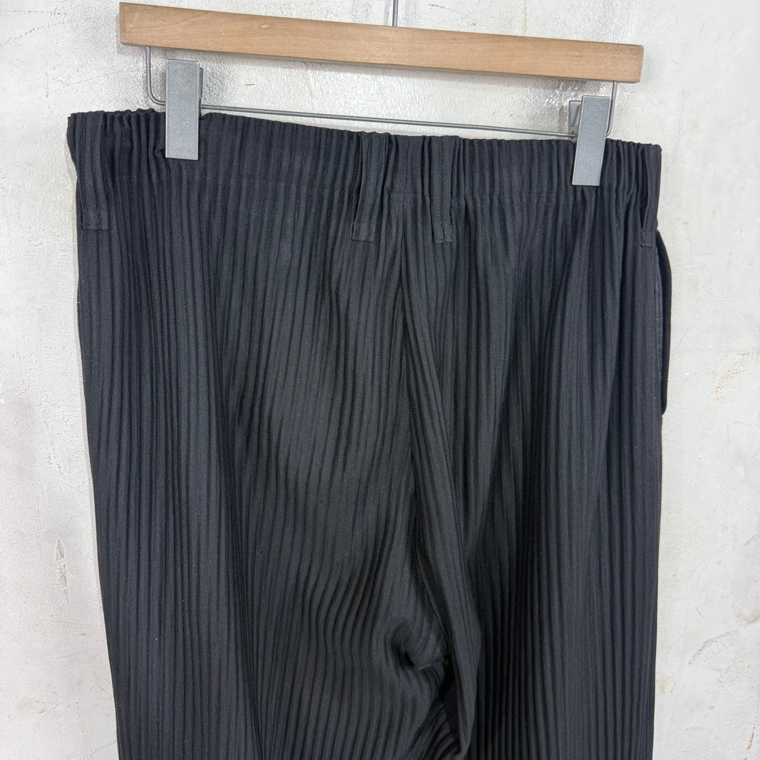 Issey Miyake Black Loose Pleates Pants