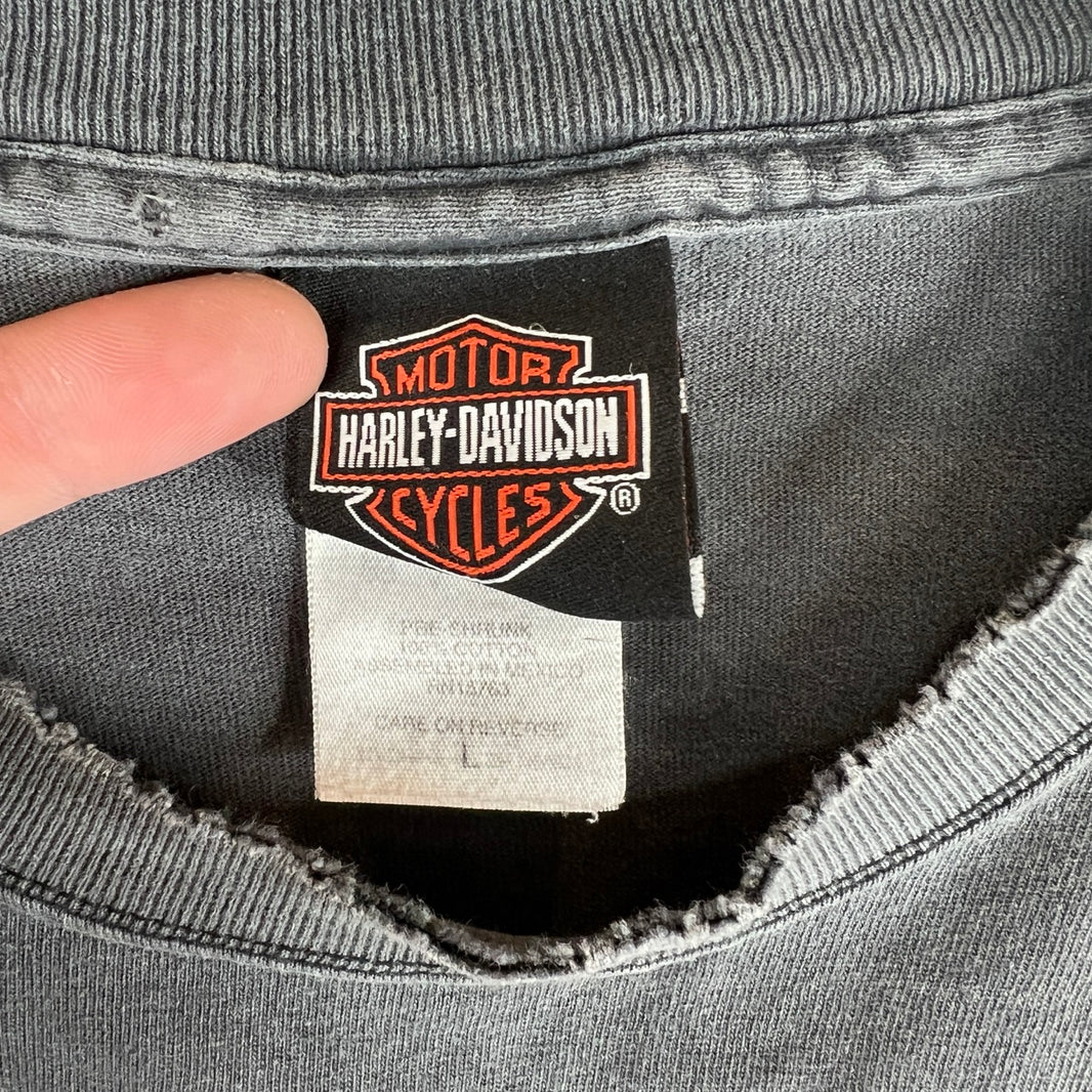 Vintage Harley Tucson Arizona T-Shirt