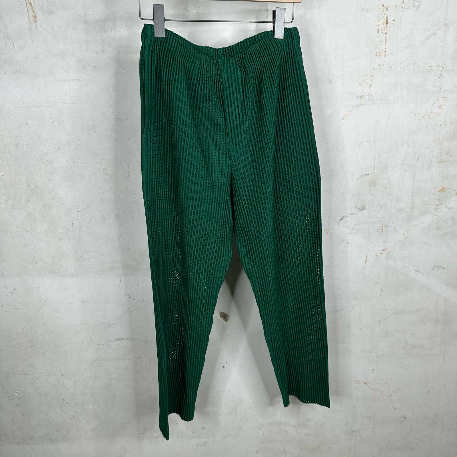 Issey Miyake Green Pleates Mesh Pants
